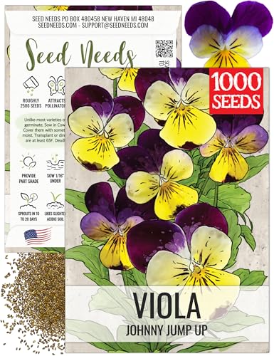 Seed Needs Johnny Jump Up Seeds for Planting Violas - Heirloom & Open Pollinated Flowers to Plant a Butterfly Garden Filled with Edible Blooms for Garnishing (1 Pack)