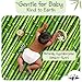 Bamboo Baby Diapers, Totally Chlorine Free for Sensitive Skin for Newborns to XXL. Hypoallergenic & Non Toxic Eco Friendlier Plant-Based Materials. TCF Small Size 1 to 2 (37 ct)