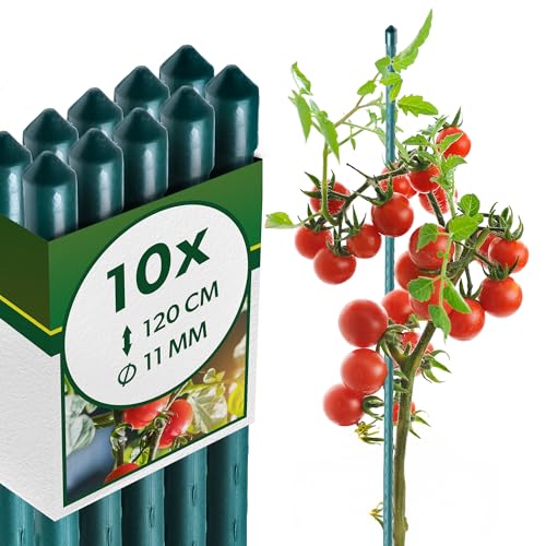 KADAX Pflanzstäbe 120 cm x 11 mm, 10er Set – Beschichteter Stahl Rankstab, Pflanzenstütze & Tomatenstäbe für Garten, Wetterfest & Stabil