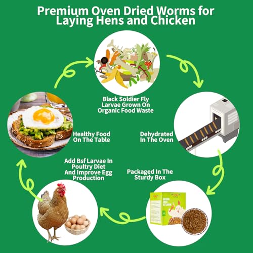 Image of Dried Black Soldier Fly Larvae Treats for Chickens Wild Birds Ducks 5LB | More Calcium Than Mealworms High-Protein Non-GMO Pure Natural