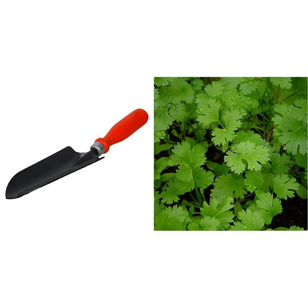 Kraft Seeds Trowel & Coriander Panipat Indian Vegetable Desi Seeds Summer Variety (Buy 1 Get 1 Free) (Multico Combo (B087D63CTP) Amazon Price History, Amazon Price Tracker