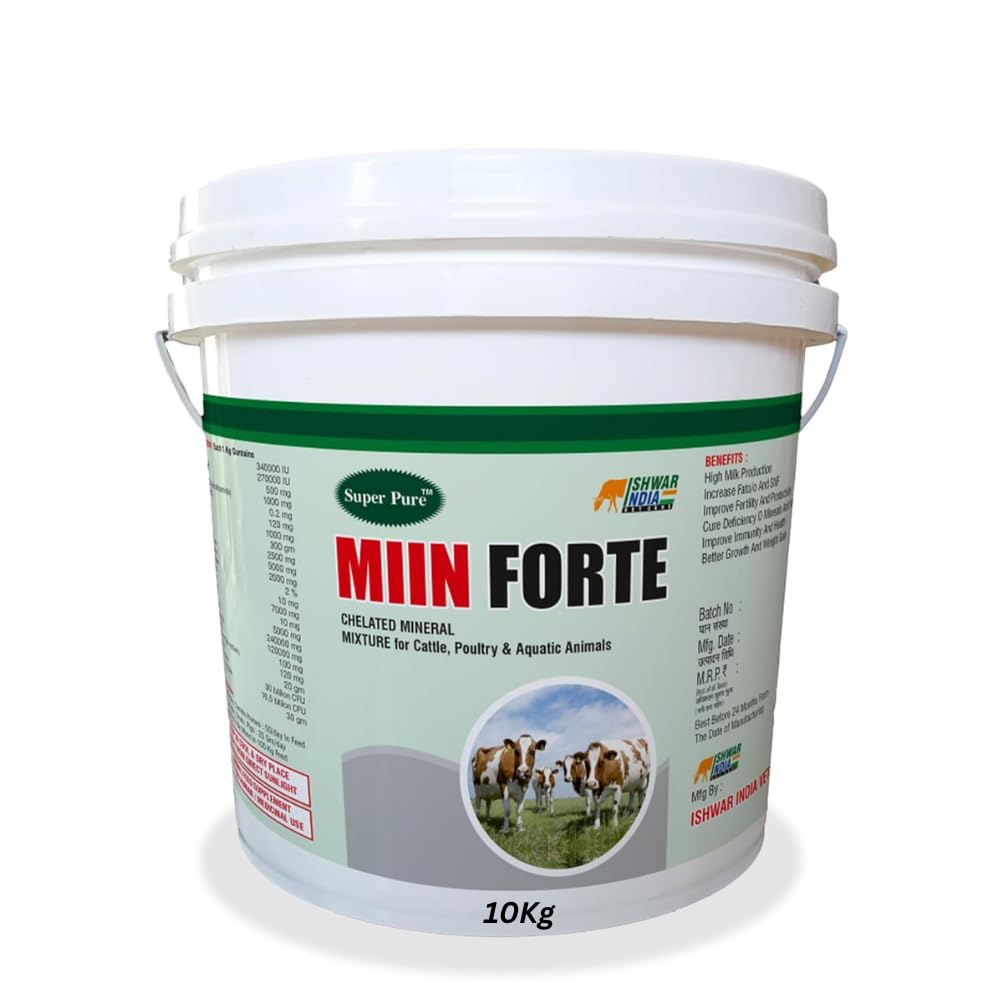 Super Pure MIIN Forte 10Kg Bucket | Veterinary Mineral Mixture Powder for Cows, Buffaloes, Goats & Sheep | Complete Livestock Feed Supplement for Higher Milk Yield, Strong Bones & Immunity