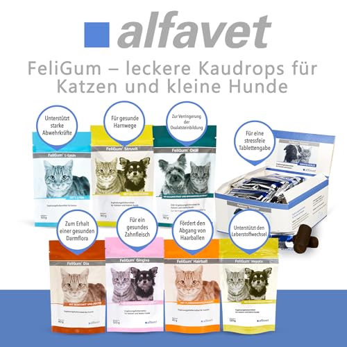 alfavet FeliGum Trojaner 6 x 10 g, Formbare Leckerli für Katzen & Hunde zum Verstecken von Tabletten, einfache & stressfreie Medikamentengabe, Ergänzungsfuttermittel