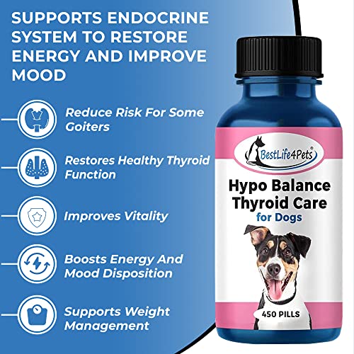 Bestlife4Pets Hypo-Balance Thyroid Support For Dogs - Natural Canine Thyroid Supplement Supports Endocrine System To Restore Energy, Improve Mood, Reduce Shedding And Boost Metabolic Functions #TOP2
