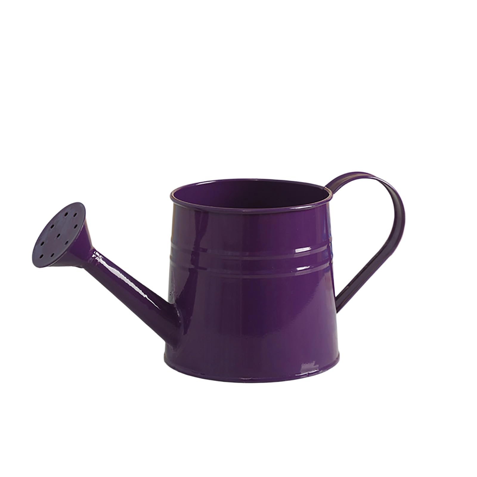 Small Watering Can Kids Watering Can Rose Head Lightweight Mini Bucket with Handle Jug Water Cans for Indoor Outdoor Garden Balcony Gardening Flower Seedlings Easy Grip Flower Kettles (Dark Purple
