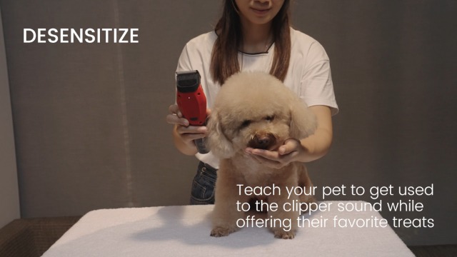 DOG CARE Dog Grooming Kit, Smart 3-Mode, Heavy-Duty Dog Grooming Clippers withRechargeable 180-mins Battery, Cordless… - Image 8
