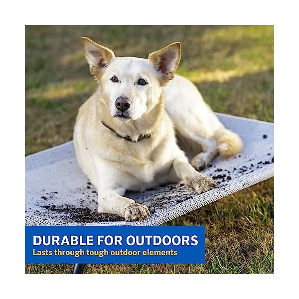 COOLAROO-The-Original-Cooling-Elevated-Dog-Bed-Indoor-and-Outdoor-Small-Grey COOLAROO-The-Original-Cooling-Elevated-Dog-Bed-Indoor-and-Outdoor-Small-Grey