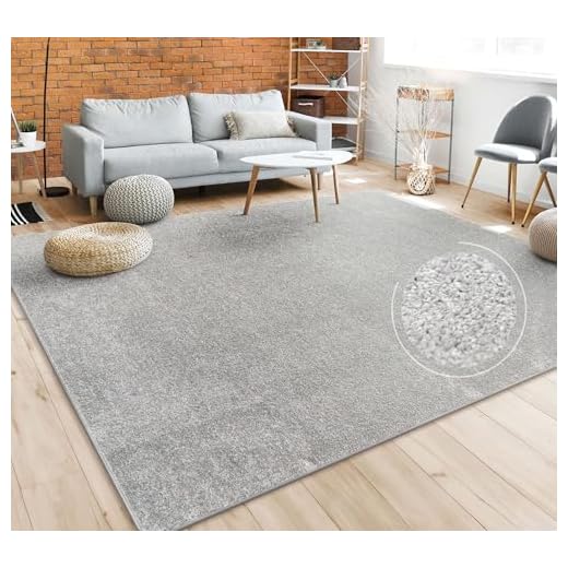 Alfombra Salón Color Liso Discreta Moderna Pelo Corto Tamaños, tamaño:160x220 cm, Color:Plata