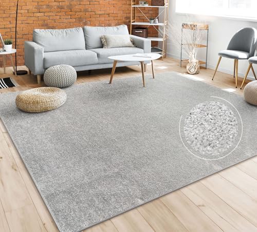 Paco Home Teppich Wohnzimmer Schlafzimmer Esszimmer Kurzflor Moderne Optik Einfarbig Pastell, Grösse:120x170 cm, Farbe:Silber