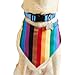 Youly Pride Flag Reversible Bandana for Dogs and Cats, XX-Large/3X-Large, Rainbow