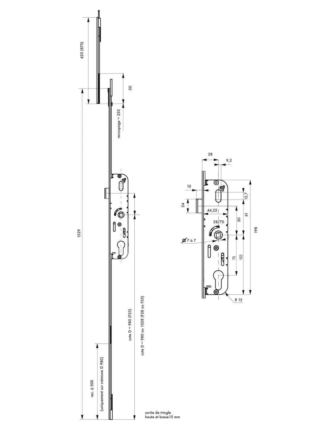 FERCO by THIRARD - Boîtier de Serrure Encastrable Fenster à Cylindre - Porte Fenêtre - Axe 28 mm - 2 Points - H. 1530 mm - Réversible - Verrouillage Par Pêne Haut et Bas - Sécurité Optimale - Gris