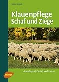 ziegen schafe zusammen halten  Klauenpflege Schaf und Ziege: Grundlagen / Praxis / Moderhinke