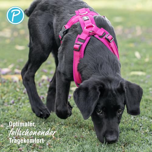 Petlando Hundegeschirr mittelgroße Hunde Mesh Y-Comfort, luftdurchlässig, weich gepolstert, stufenlos verstellbar Fuchsia M (Halsumfang 46-74 cm, Brustumfang 50-74 cm), Hunde Geschirr mittel
