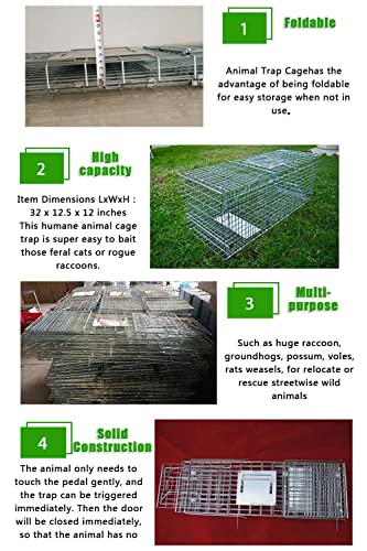 Large Collapsible Humane Live Animal Cage Trap Animal Trap For Farms, Gardens, Home Gardens, Capturing Trap Stray Cat #TOP4