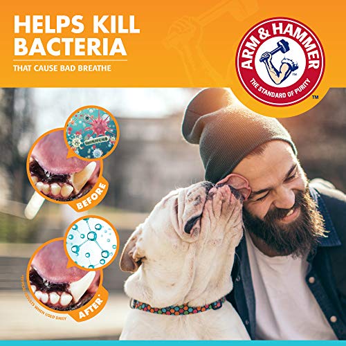 Image of Arm & Hammer for Pets Fresh Breath Enzymatic Dog Toothpaste, Vanilla Ginger Flavor, Safe for Puppies and Adult Dogs, Daily Baking Soda Dental Gel to Eliminate Bad Breath, 2.5 Oz - 72 Pack