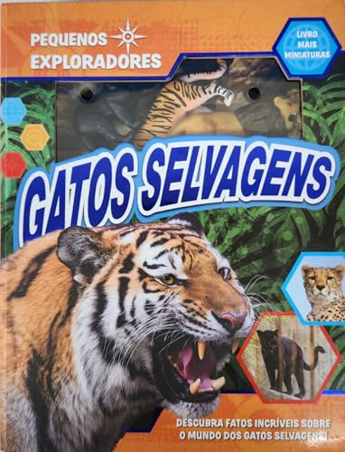 Pequenos exploradores – Gatos selvagens: