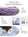VicTsing Essential Oils, TOP 6 Pure Aromatherapy Oils Set, Essential Fragrance Oil Set for Women, Men, Diffuser, Humidifier(Orange, Lavender, Tea Tree, Lemongrass, Eucalyptus, Peppermint, 10ml/bottle)
