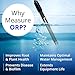 Bluelab ORP Meter – Handheld Oxidation-Reduction Potential (ORP) Tester with Backlit Display, Replaceable Probe & 2m Cable for Water Quality Monitoring