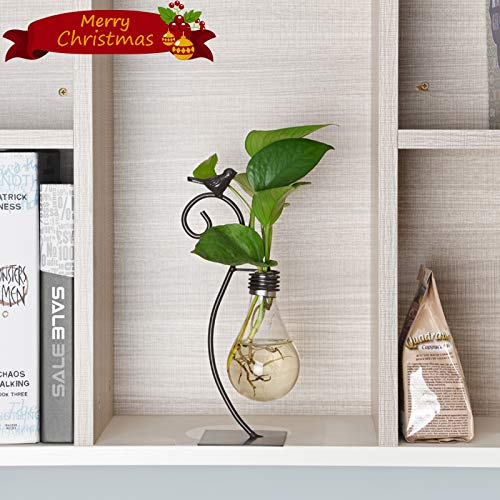 Marbrasse Desktop Glass Planter Hydroponics Vase,Planter Bulb Vase With Holder For Home Decoration,Modern Creative Bird Plant Terrarium Stand, Scindapsus Container (Bulb Vase) #TOP2