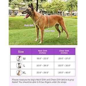 Hotsky Tactical Dog Harness for Large Dogs No Pull Adjustable Military Service Dog Vest Reflective Pet Harness with Control Handle Molle Loop Panels for Training Walking Running(Purple Camo, L)