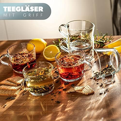 KADAX Tea Glasses, Set of 6 Glasses With Handles, Dishwasher Safe, Drinking Glasses for Coffee, Tea, Water, Juice, Drink, Garden