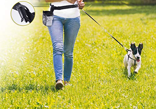 AMZNOVA Futterbeutel Hund Treatnow Leckerlitasche für Hunde, Futterbeutel Hundetraining für Training, Leckerli Beutel Gassitasche Leckerlibeutel Snackbeutel, 3 Tassen, Grau