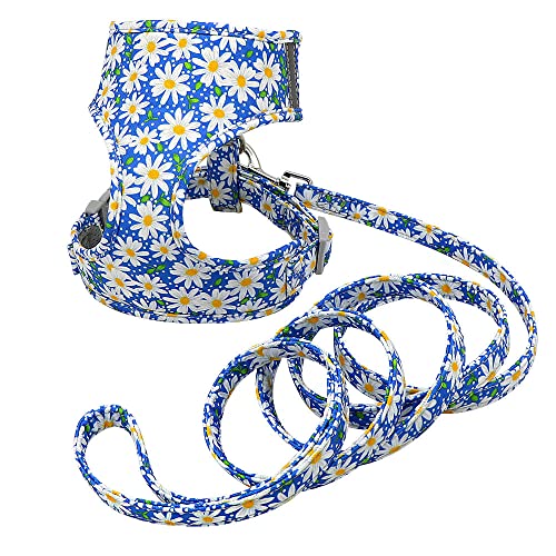 ペットリーシュ、 リードナイロンプリントメッシュペット犬ハーネス小さな子犬猫ハーネスリーシュセットソフトパッド入り反射ベストDM(D,L)