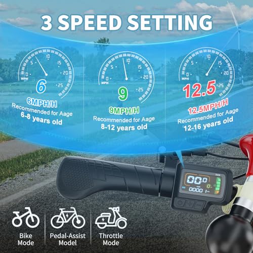 16 Inch Kids Electric Tricycle, 250W 24V Fat Tire Electric