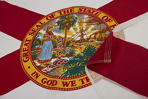 Allied Flag - 5' X 8' Outdoor Nylon Florida State Flag - Made In Usa - Vivid Color And Fade Resistant - Reinforced Hem And Brass Grommets #TOP3