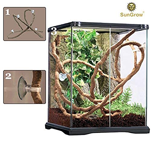 Vigne de reptile SunGrow pour accessoire terrarium et python