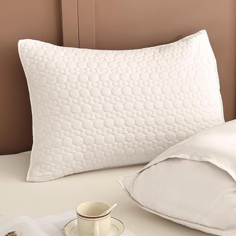 Lady Ann Circular Pattern Printed Pillow Shams Set of 2 Cotton Quilted Pillow Covers Queen Size 20 x