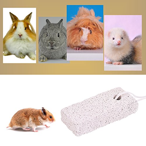 Minerali di Frutta di Animale Animali Pietre