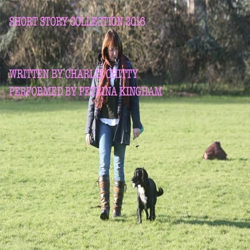 Short Story Collection 2016 Audiolibro Por Charlie Chitty arte de portada