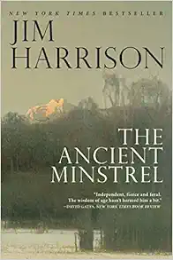 The Ancient Minstrel: Novellas book cover