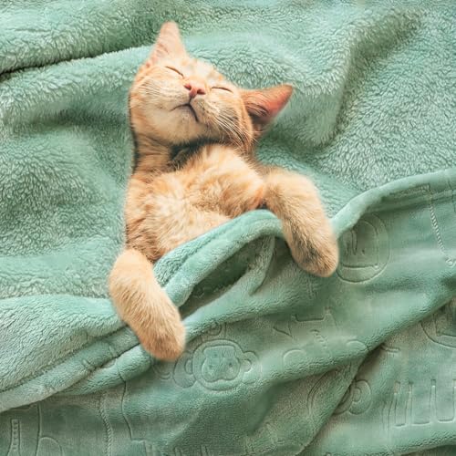 Image of BORITAR Baby Blanket for Boys Girls Ultra Soft Fleece Warm and Lightweight Animal Blankets for Infant Toddler Newborn, 30x40 Inch, Sage Green