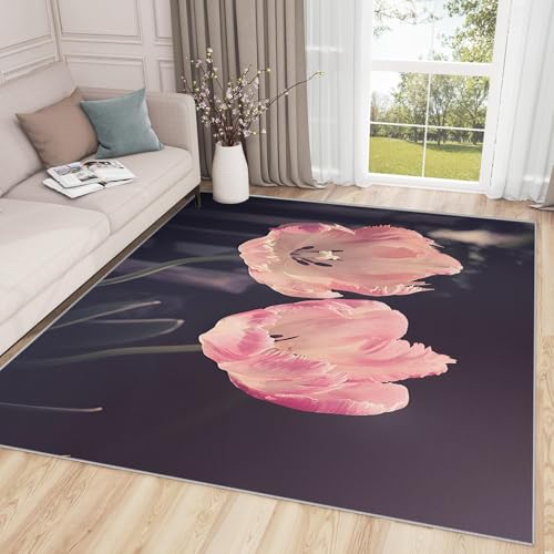 �~�j���������O�}�b�g �������ԕ� �J�[�y�b�g����@�Ő􂦂� ����Ȃ� �O�~ ���� ���R���w �J�V�~�����O �z�b�g�J�[�y�b�g���g�[�Ή� ���イ���� �h�_�j �I�[���V�[�Y�� 90x150cm QT&19