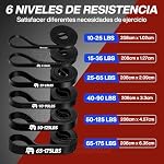 Resistance Bands, Pull Up Assist Bands, Exercise Bands with Handles, Door Anchor and Carrying Bag, for Body Stretching, Muscle Toning, Resistance Training, Physical Therapy, Home Workouts