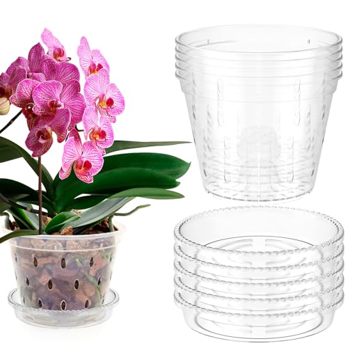5Pcs Clear Orchid Pot with Drainage Holes, Plastic Slotted Orchid Pots with Saucers, Breathable Flower Plant Pot Nursery Pots for Orchids Repotting Kit (6 inch)