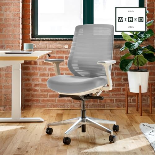 Branch Ergonomic Chair - A Versatile Desk Chair with Adjustable Lumbar Support, Breathable Mesh Backrest, and Smooth Wheels - Experience Optimal
