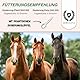 DOROGENA Magnesiumdicitrat für Pferde - Magnesium Pferd - Hochbioverfügbares Magnesium für Muskelentspannung & Nervenstärkung - Ideal für Sportpferde & Sensible Ponys - 500 g inklusive Dosierlöffel