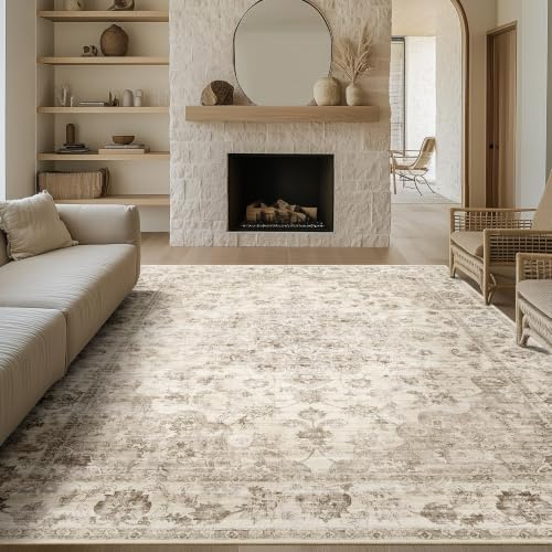 2x3 Beige Farmhouse Area Rug