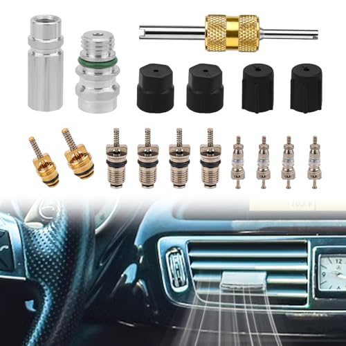 Kit de 17 piezas para válvula de aire acondicionado
