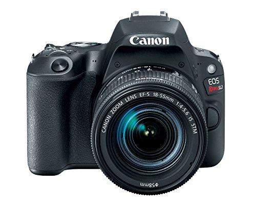 Canon EOS Rebel SL2 - Image 6