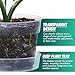 6 Inch Clear Plastic Plant Pot with Drainage Holes, Interlocking & Detachable Tray - Deep Saucer - Durable BPA-Free Plastic, Transparent Design, Raised Base for Airflow, Set of 6, 92-X-A-4