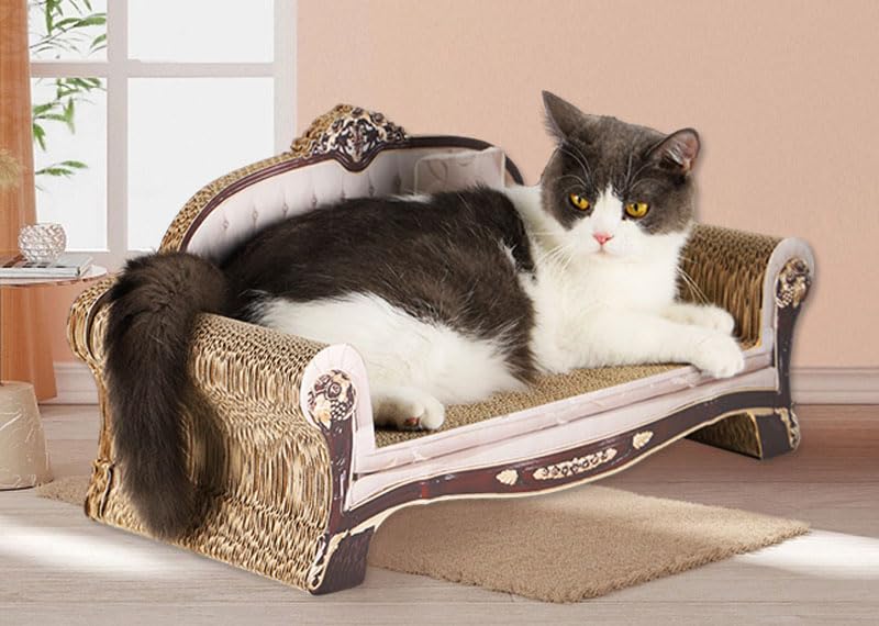 Amazon | ソファ型 猫 つめとぎ 3点セット 猫 爪とぎ 大きい猫専用