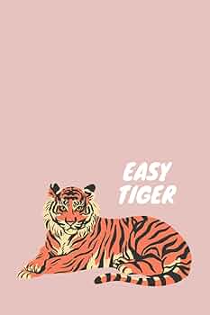 ミニパターンbook DVD付きItaly製とおまけにTigerのデコペーパー帳 Amazon.com : [Set of 3] Handmade Mini Leather Journals