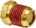 Control Devices CS25-100 Cold Start Valve 1/4"
