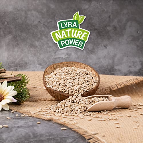 Lyra Pet® | 25 kg Sonnenblumenkerne Geschält | Vogelfutter für das Ganze Jahr | Premium Wildvogelfutter | Idealer Energiespender für Sommer und Winter | Vogelstreufutter für Wildvögel | Ohne Schale