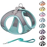 AIITLE Summer Pet Supply No Pull, Step in Adjustable Dog Harness with Padded Vest for Hot Weather, E