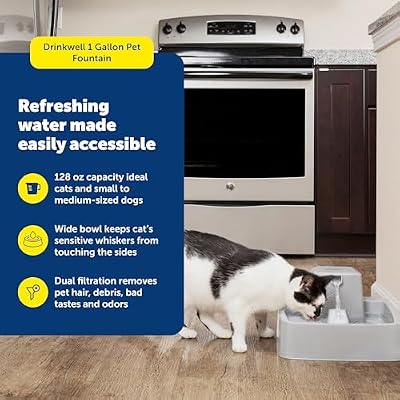 PetSafe Oasys 1 Gallon (128 Ounce) Medium Pet Fountain - Cat or Medium Breed Dog Water Fountain - Dishwasher Safe Filtered Water Dispenser with Flow Control - Filters Included - Easy to Clean